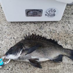 紀州釣りに挑戦！！