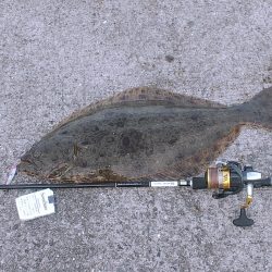 座布団1枚持ってきて～