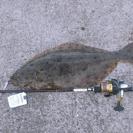 座布団1枚持ってきて～