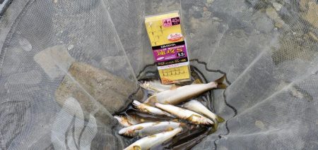 4度目の鮎釣り