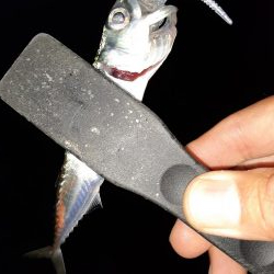 ライトゲーム37