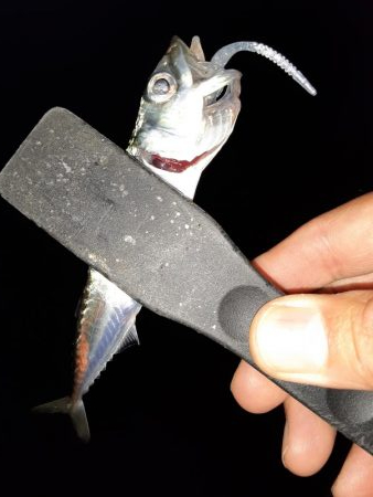 ライトゲーム37