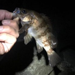 先週よかった地元へ