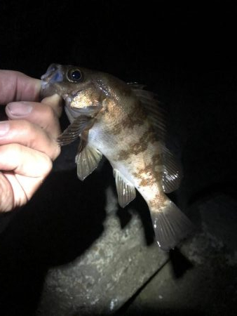 先週よかった地元へ