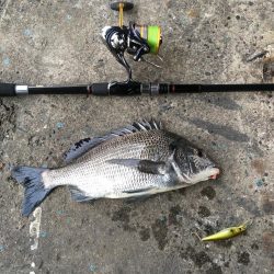 @ちょこっと遠征デイゲーム