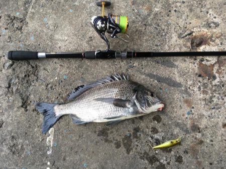 @ちょこっと遠征デイゲーム