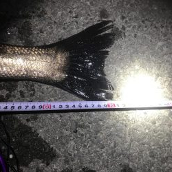 めげずに頑張りました(ToT)