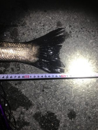 めげずに頑張りました(ToT)