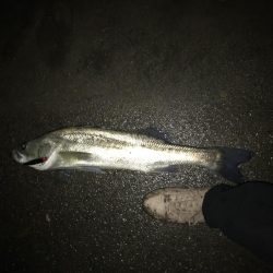 淀川トップゲーム