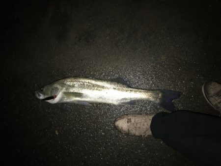 淀川トップゲーム