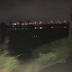 淀川トップゲームでシーバス