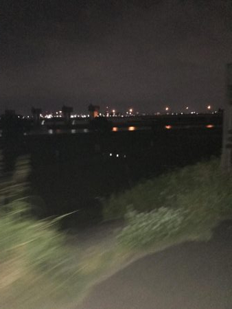 淀川トップゲームでシーバス