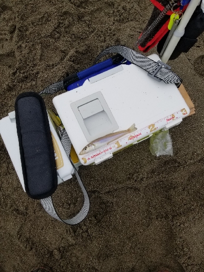 今日も満足しました