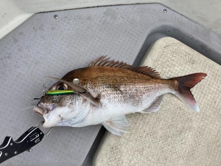 魚のやる気が・・⁉︎