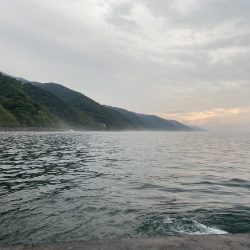 朝マズメ　シーバス