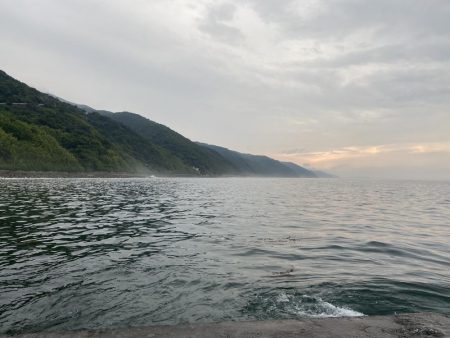 朝マズメ　シーバス