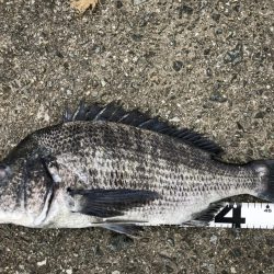 イチノ兄弟、釣果！