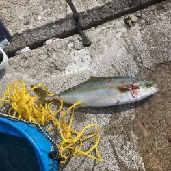 釣れて良かった