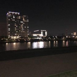 バチ抜けシーバス