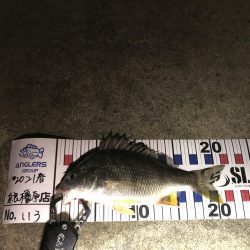 小さいながら釣れた‼︎