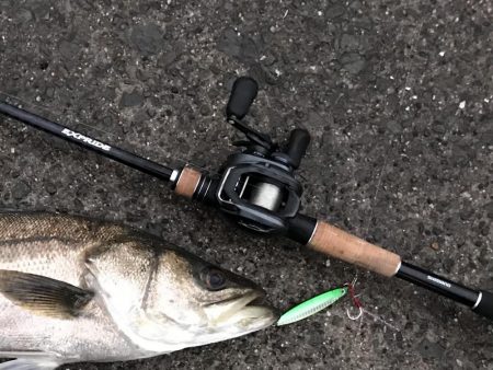 今季初、岸ジギでシーバス❗&…