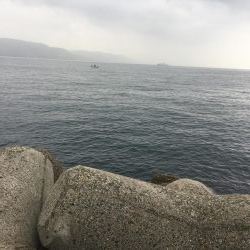 1ヶ月ぶりの青物の引き！