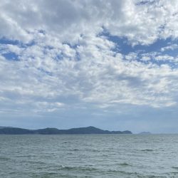 少しは大きくなったかな