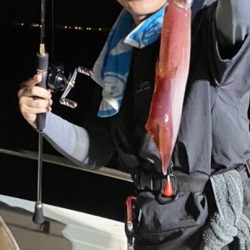 今年初のイカメタル