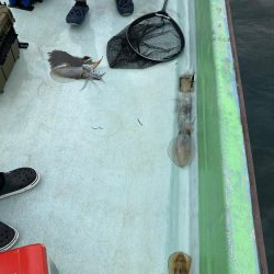 那佐沖でティップラン