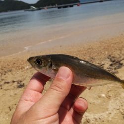 小物釣り・・・