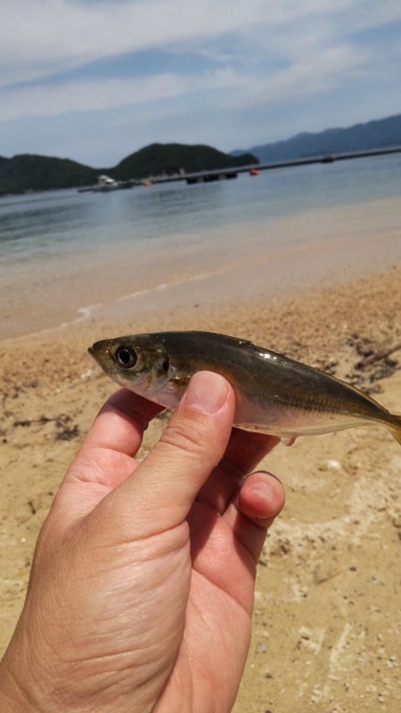 小物釣り・・・