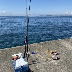 鰤じゃなくサワラで〜