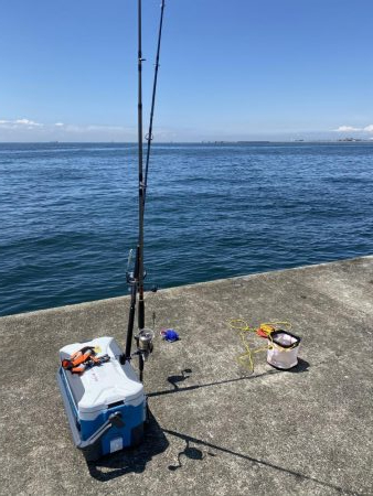 鰤じゃなくサワラで〜