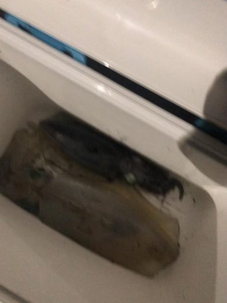 やっとキロアップ