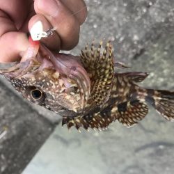 癒やしなガッシー3rd