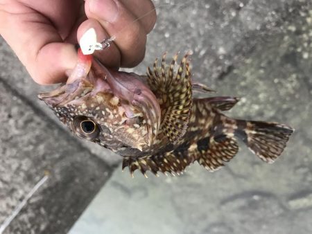 癒やしなガッシー3rd