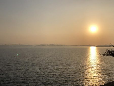 久しぶりのヒラメ