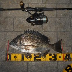 得意技?でヒット