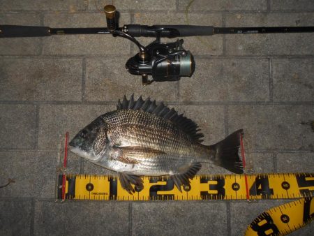 得意技?でヒット