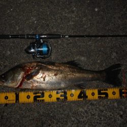 興奮度MAXのボイル打ち