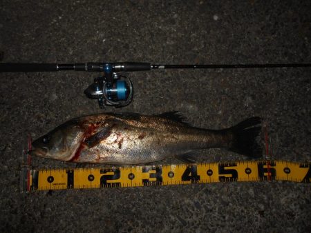 興奮度MAXのボイル打ち