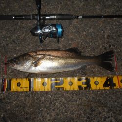 今度は爆撃メソッドで