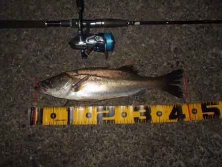 今度は爆撃メソッドで