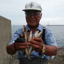 僅かな時合いを捉える事が出来ました