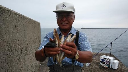 僅かな時合いを捉える事が出来ました