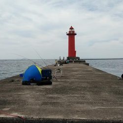 小型キス主体となった播磨新島