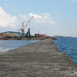 更に厳しくなった播磨新島のキス