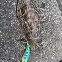 久しぶりに地元で