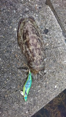 久しぶりに地元で