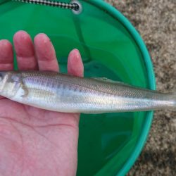 日本海のキスは最高
